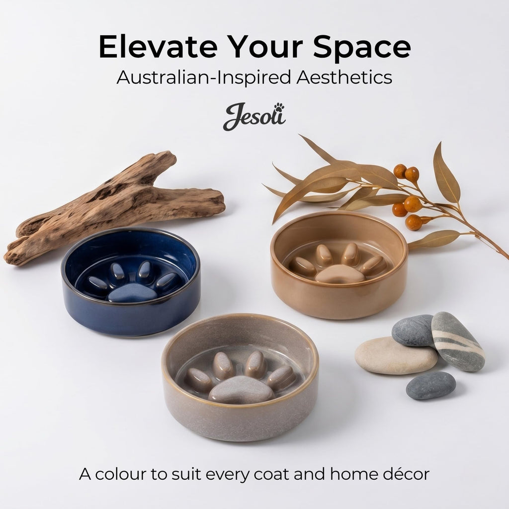 Paw Maze Ceramic Bowl Set