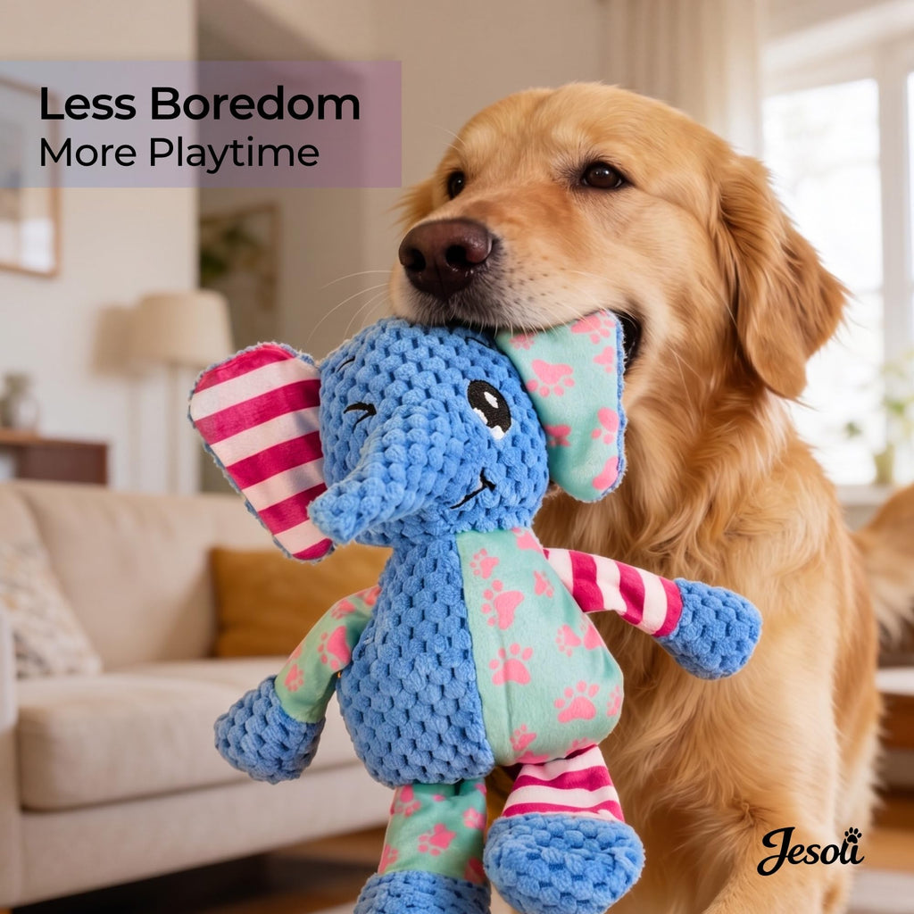 Plush Squeaky Dog Toy Bundle