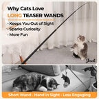 13-Piece Fishing Rod Cat Teaser Set