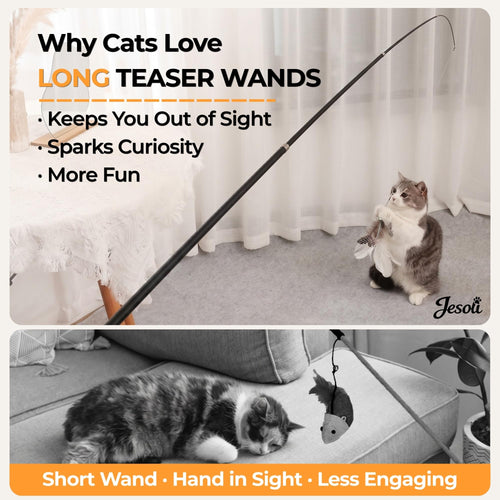 13-Piece Fishing Rod Cat Teaser Set