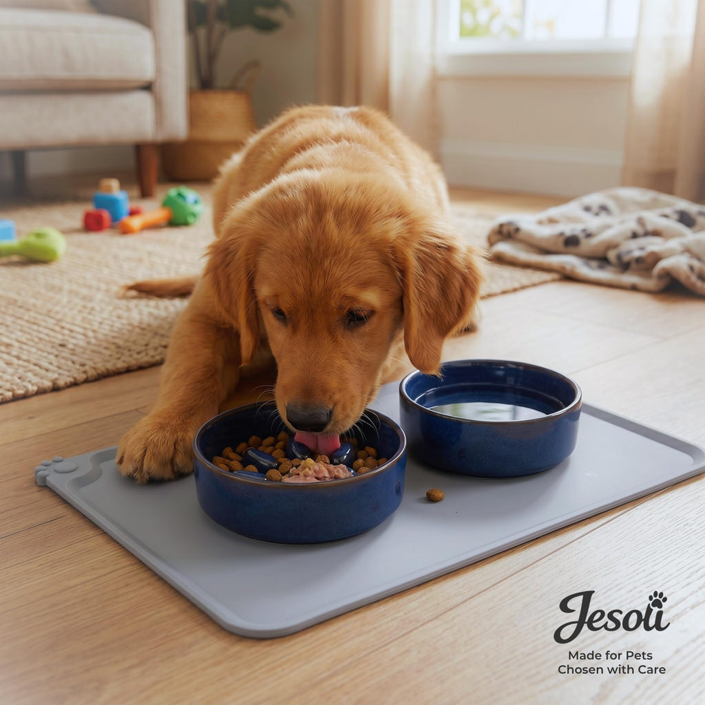 Paw Maze Ceramic Bowl Set