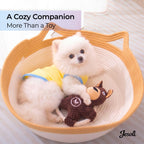 Plush Squeaky Dog Toy Bundle