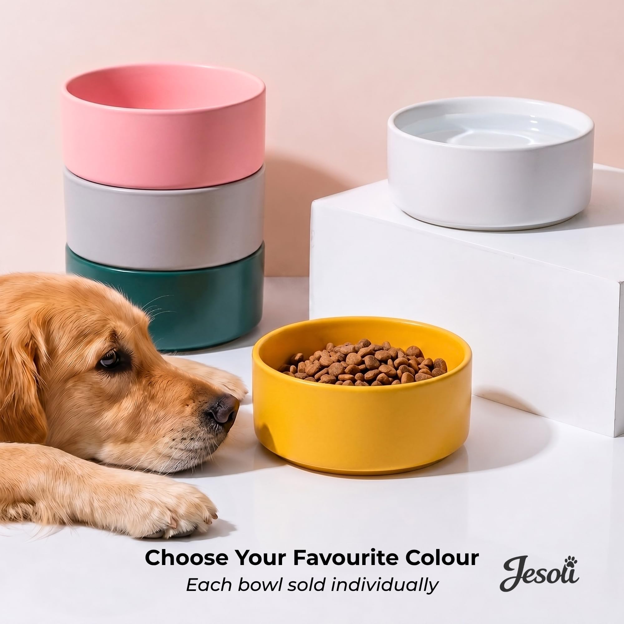 Essential Matte Ceramic Pet Bowl