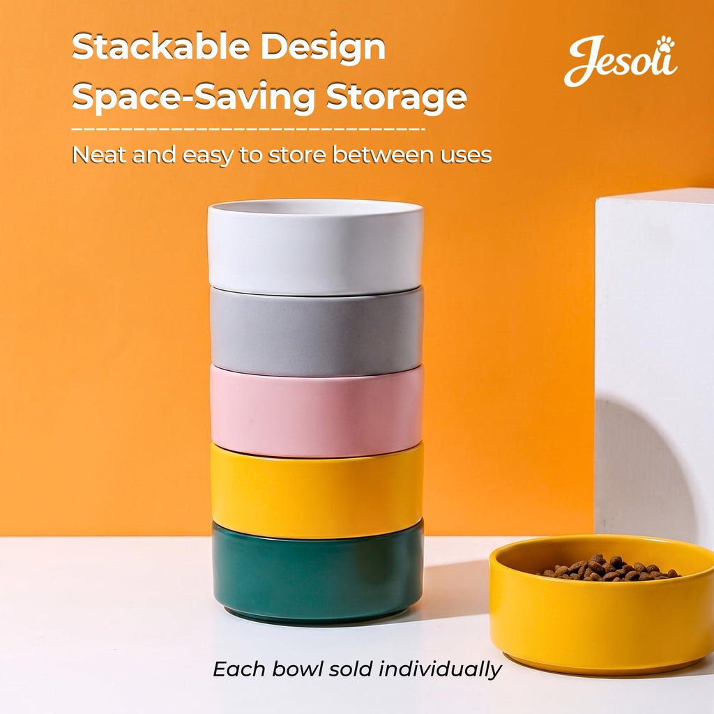 Essential Matte Ceramic Pet Bowl