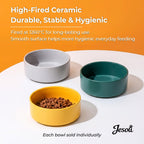 Essential Matte Ceramic Pet Bowl