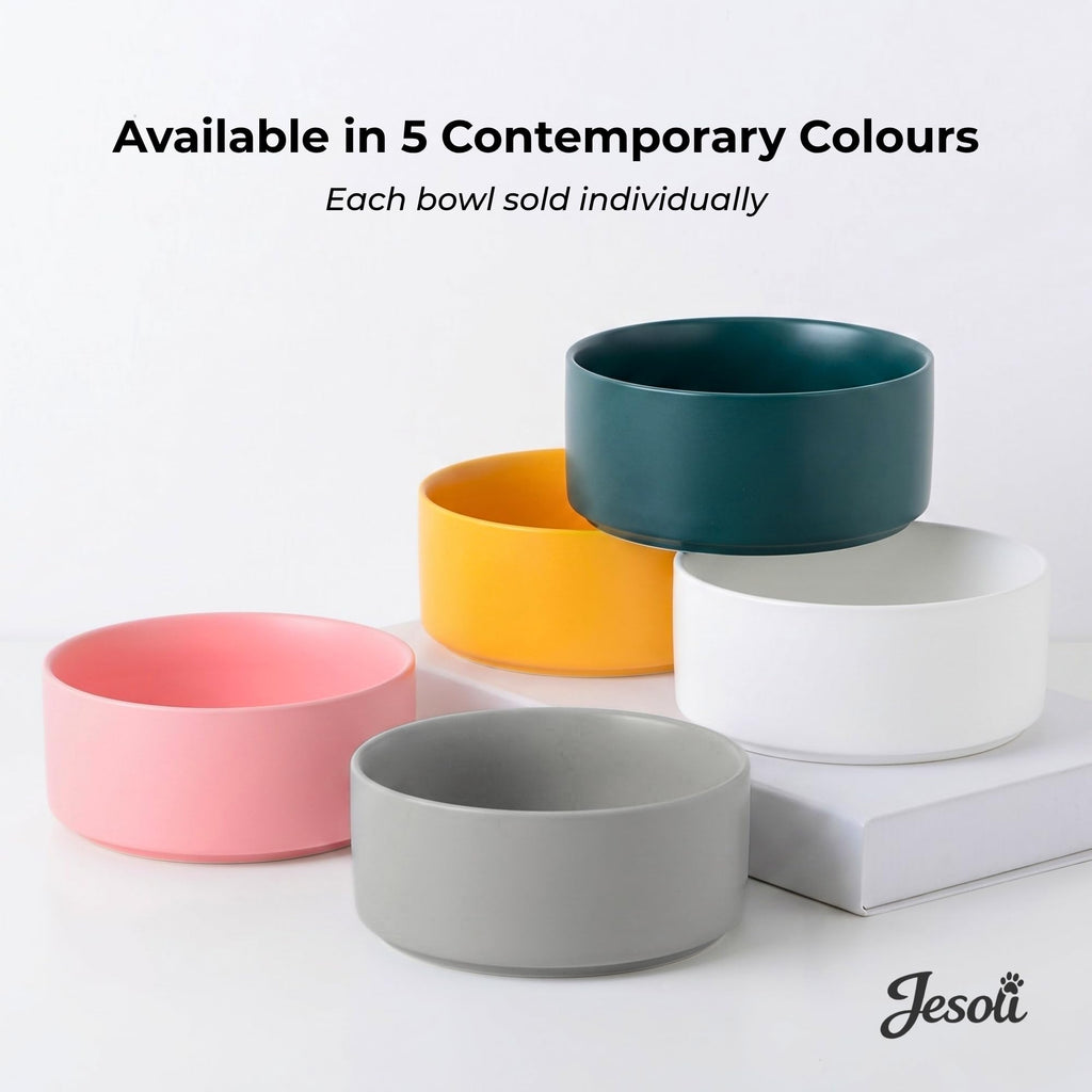 Essential Matte Ceramic Pet Bowl