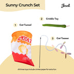 Cat Toy Starter Pack: Tunnel, Teaser Wand & Crinkle Toy