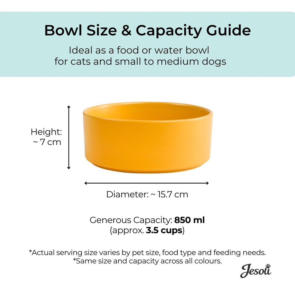 Essential Matte Ceramic Pet Bowl