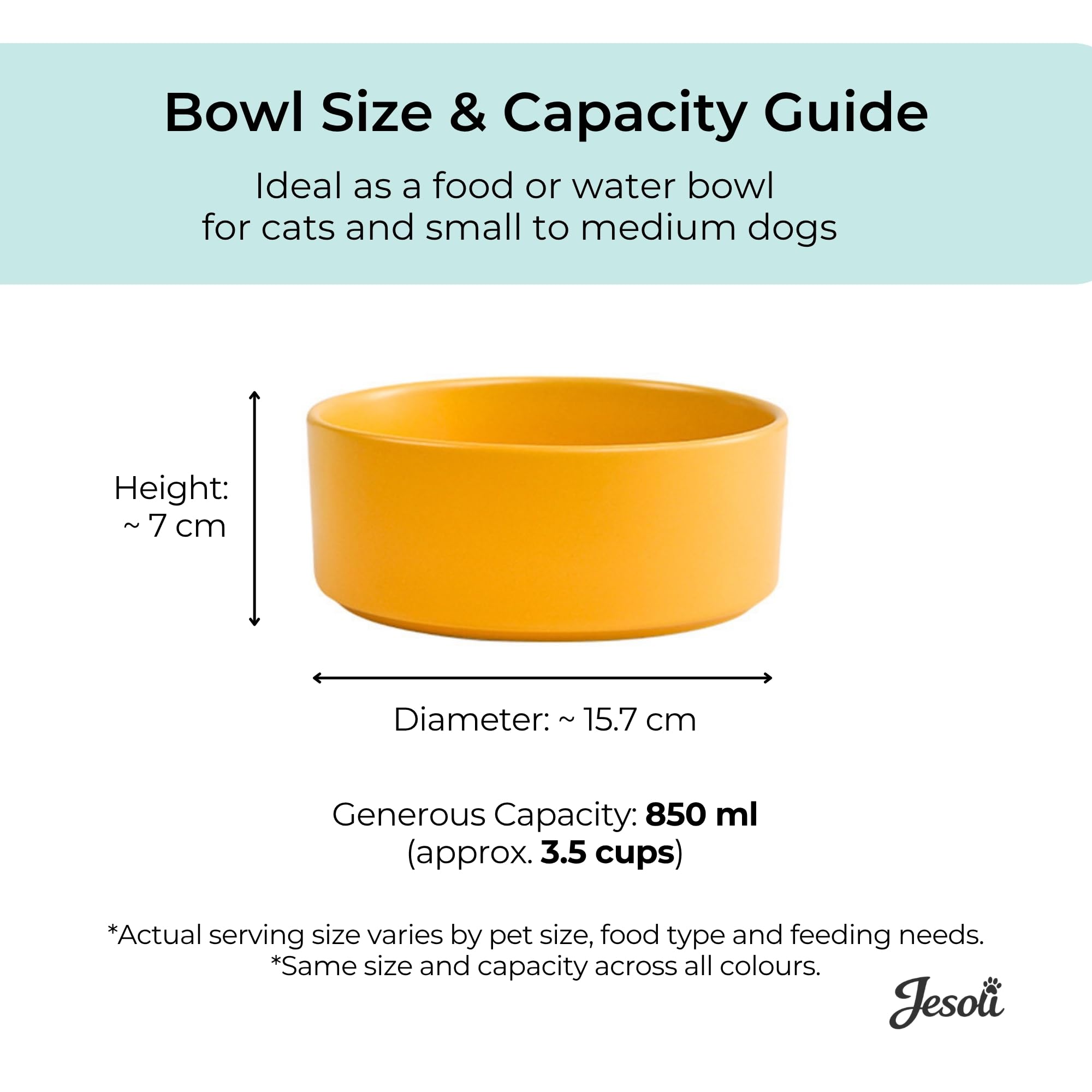 Essential Matte Ceramic Pet Bowl