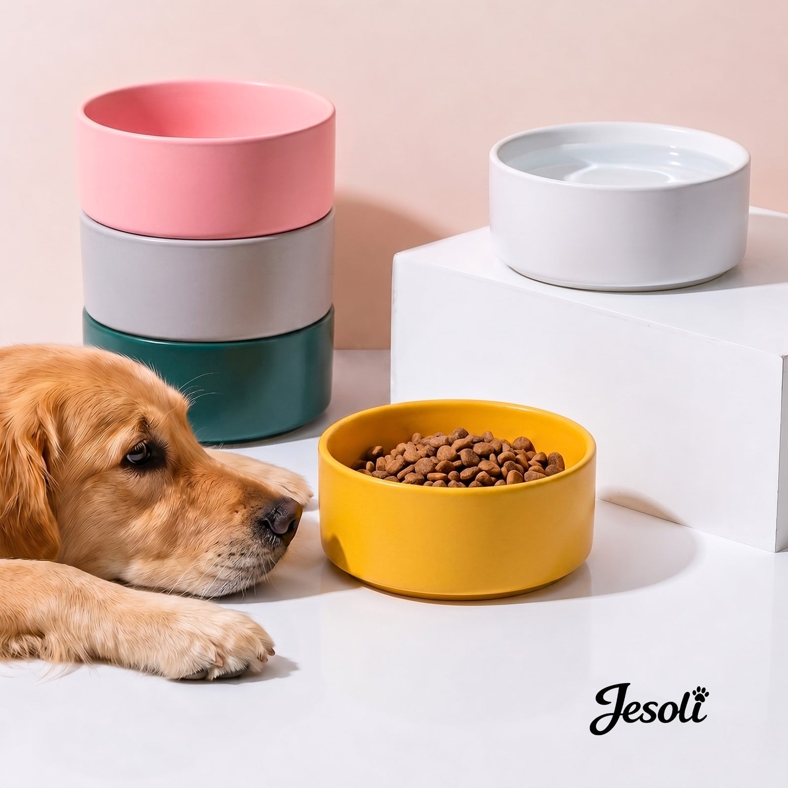 Thoughtful essentials for pets and the homes they share