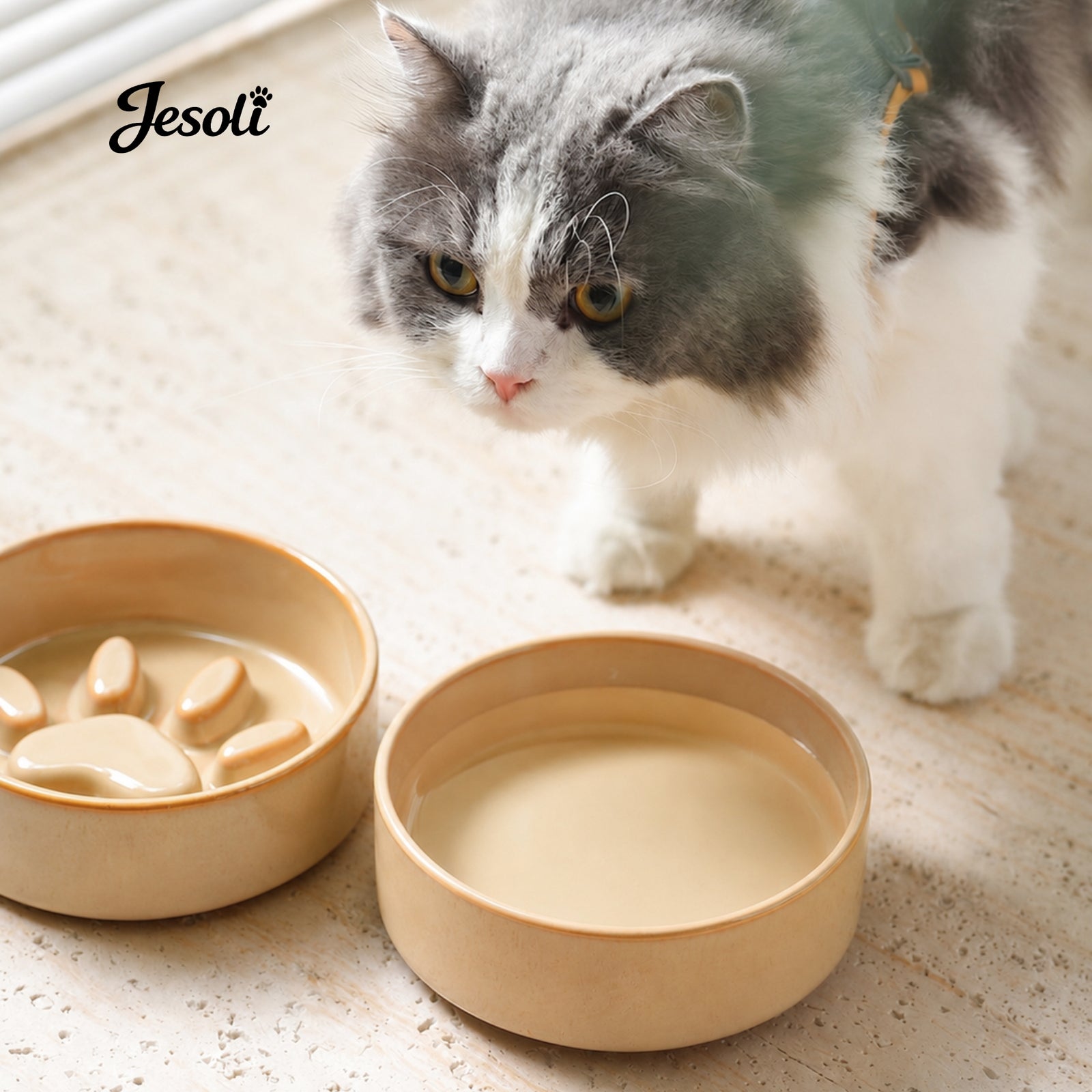 Thoughtful essentials for pets and the homes they share