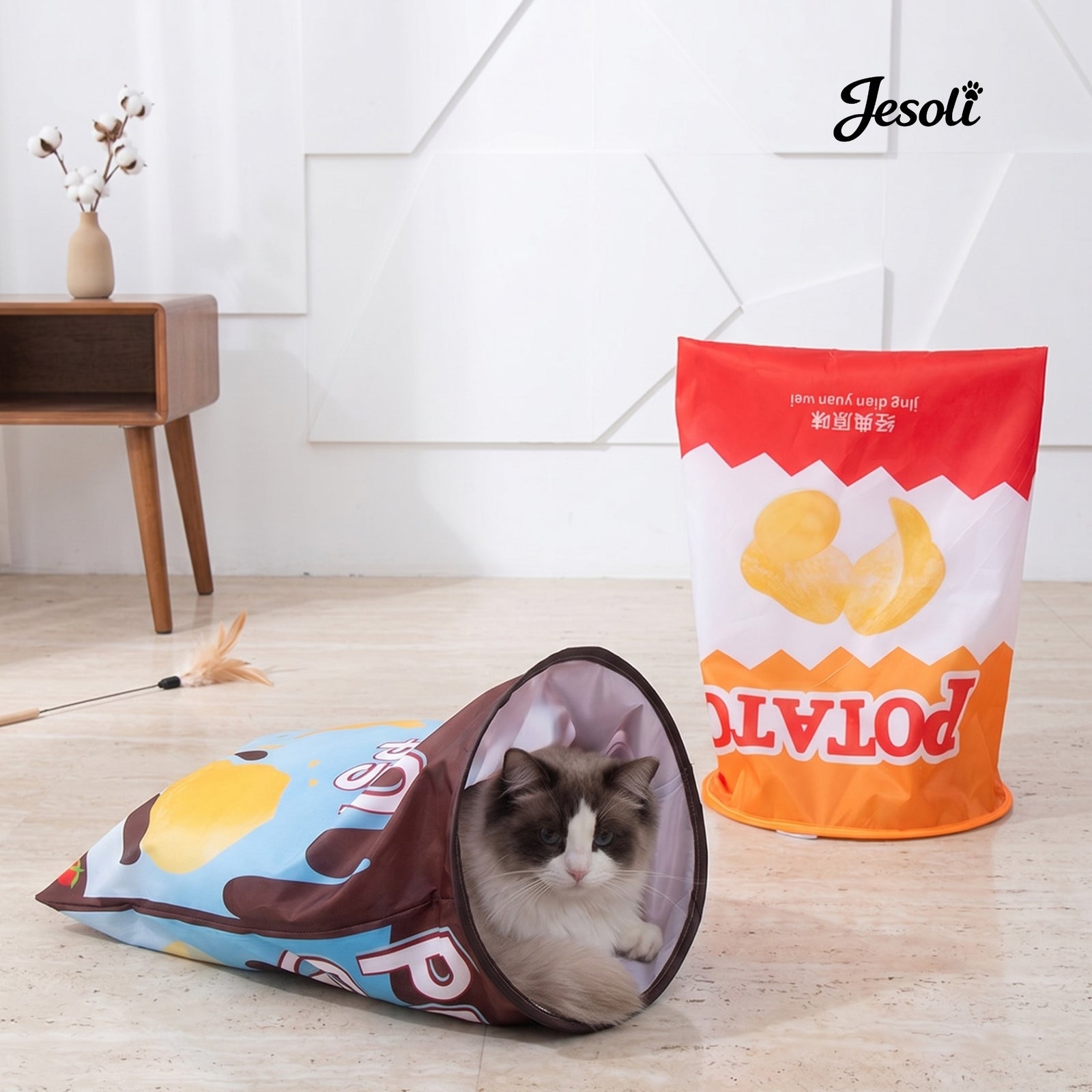 Thoughtful essentials for pets and the homes they share
