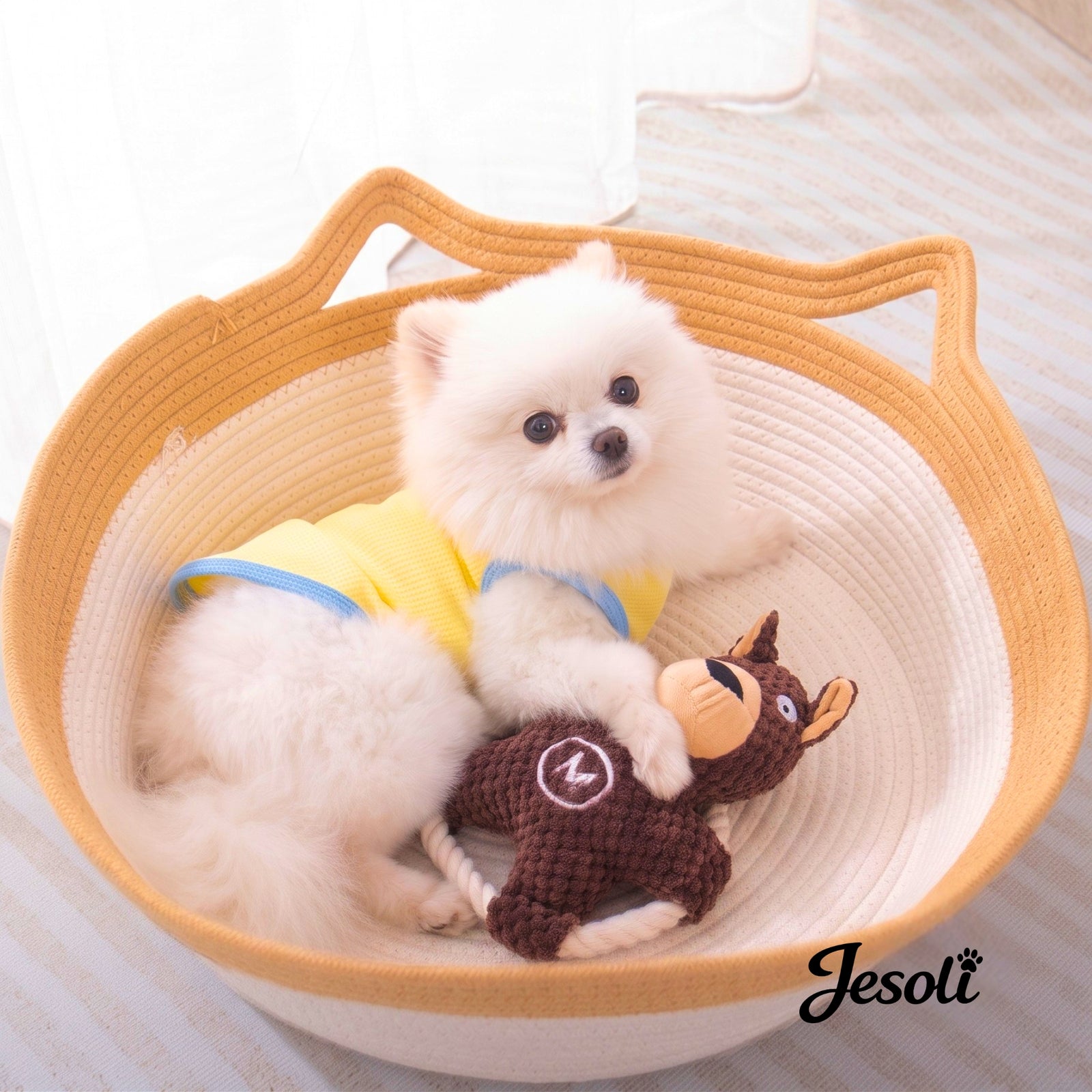 Thoughtful essentials for pets and the homes they share